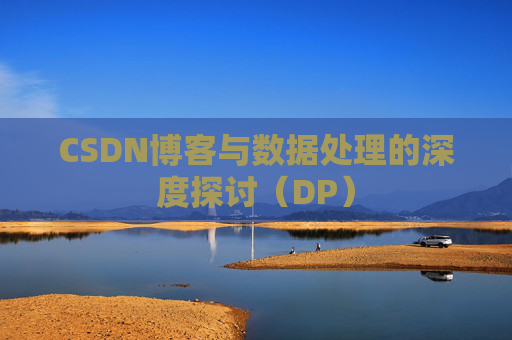 CSDN博客与数据处理的深度探讨（DP）